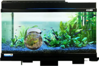 めちゃくちゃ分かりにくいと思うのですが普通の水槽の中にミニ金魚鉢を設置したいと Yahoo 知恵袋