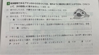 ミジンコは無セキツイ動物の節足動物で甲殻類ですか その通りで無セキ Yahoo 知恵袋