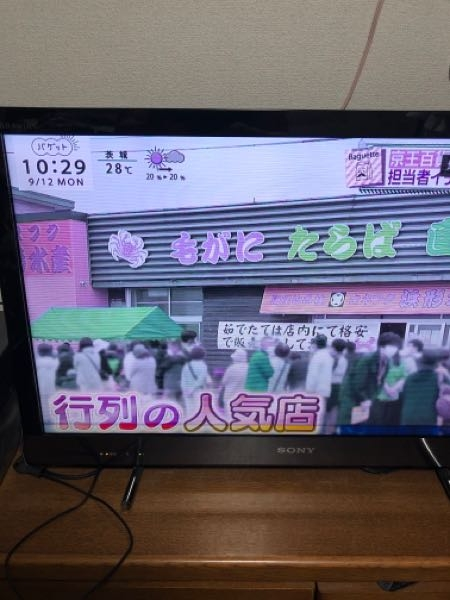 ソニー液晶テレビ画面の色があせたり、残像が30秒位残ってまた他の残像 