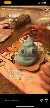 このうんちくん うんちまん の水の中で膨らむみたいなこの商品名を教え Yahoo 知恵袋
