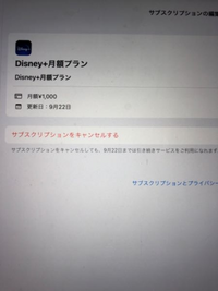 ディズニープラスに関してこの写真の状態だと すでに今月の支払いは終わっていると Yahoo 知恵袋