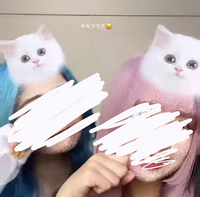 風の子学園事件に関する事わかる限り教えてくださいm Mある中 Yahoo 知恵袋