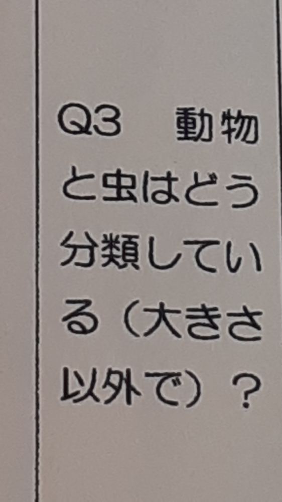 この問いが分からないです 「虫」とは何類の事でしょうか？そしてどう書くべきでしょうか？ 至急お願いします