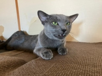 自撮りです 可愛いですか 僕は結婚できるでしょうか 結婚して子供が欲しいです Yahoo 知恵袋