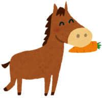 馬は本当にニンジンが好きなのでしょうか Www Irasuto Yahoo 知恵袋