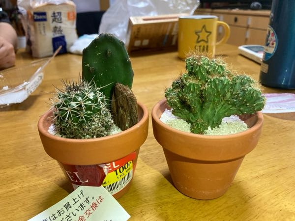 5月頃に苗を分けてもらって植えたのですが 最近 葉っぱが茶色 Yahoo 知恵袋