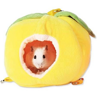 ゴールデンハムスターを飼っています 寒くなってきたので 床材を多めに Yahoo 知恵袋