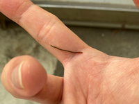 60センチ水槽をメタルラックに乗せたいのですが 60センチ水槽をメ Yahoo 知恵袋