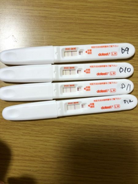 ドゥーテストの排卵検査薬です 一度も陽性反応がでないままd12 教えて しごとの先生 Yahoo しごとカタログ