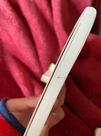 図書館の本をこんなふうにボールペンで汚してしまいました。メモをとりながら本を持っていて、ボールペンの先が当たってしまった感じです。これは弁償になりますか？ 