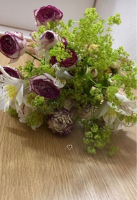 この緑の花の名前を教えて欲しいです アルケミラモリスだと思います Yahoo 知恵袋