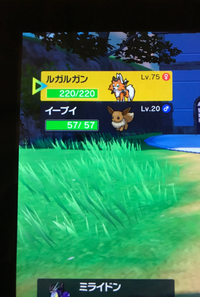 8bzbex98ntrqdm