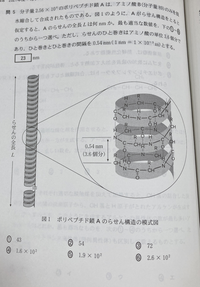 意味が分からないので解説ほしいです お願いします 答えは ポリペプチ Yahoo 知恵袋