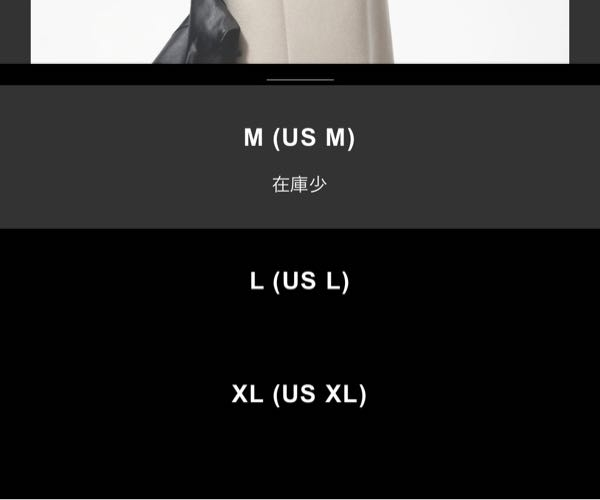 この服のサイズでM（USM）とは日本サイズでLっていあことですか