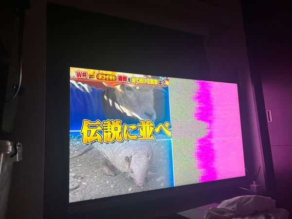 2007か2008年のSHARPのテレビが急に画面の半分がピンクにな - Yahoo
