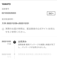 【高知インター店】 SHEINで注文したら出荷済みから動かなくなりました。22日の17 着せ替え服・アウトフィット