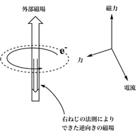 高校物理の反磁性についての質問です。 - 金属の反磁性は「外部電場により金属内... - Yahoo!知恵袋