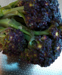 こちらのブロッコリーはたべられますか 黒紫のようなブロッコリーで黄色 Yahoo 知恵袋