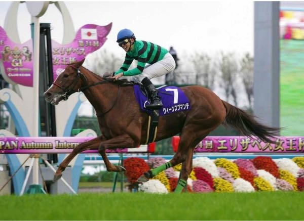 2009年開催第34回エリザベス女王杯　現地全頭単勝馬券 2009年開催第34回エリザベス女王杯 現地全頭単勝馬券 【公式通販】