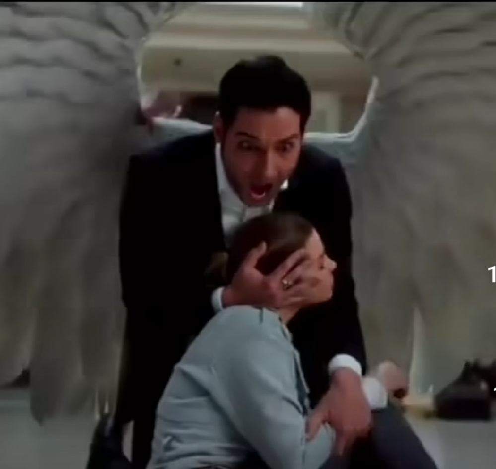 これは映画か何かのワンシーンですか？ 悪者？から囲まれて、銃撃から女性を守ろうと羽根を広げている所です。