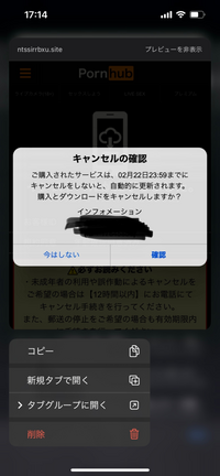 誤ってPornhubを開き、年齢確認で18歳以上のところをいいえと押 ...