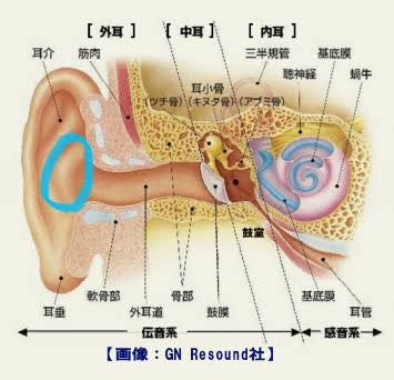 耳の中でポコポコ音がする 片耳 知恵袋 site:detail.chiebukuro.yahoo.co.jp
