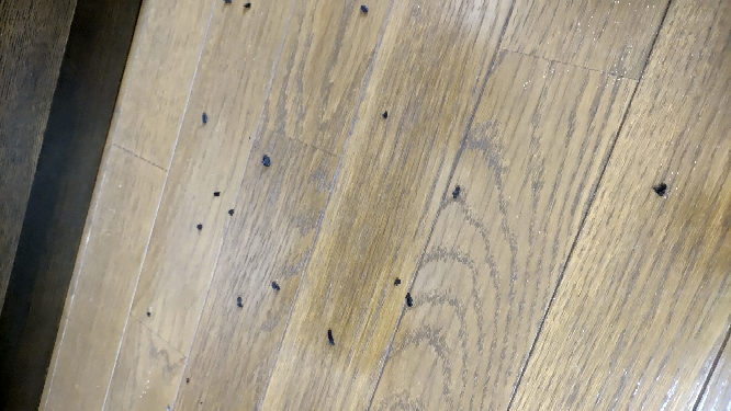 クーラーから黒いゴミ（埃？） - 2年前に購入したシャープのエアコン 