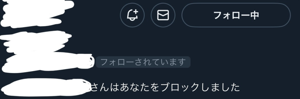 Twitterのフォロワーのプロフィールに画像のように表示されます