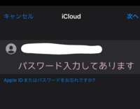 至急お願いします、iCloudのメールが勝手にログアウトされてて…それ自体はメールの部分をオフにしてたからだったんですけど、 オンにしてパスワードも絶対に合ってる(メモしてあるのを見た)のにこの画面からずっと進まなくて、どうしたらいいんでしょう
次へを押してもこのアカウントは登録されていますだとか、アカウントを作ってくださいとかの文も出なくて、ほんとにすんってこの画面に戻っちゃってどうにも...