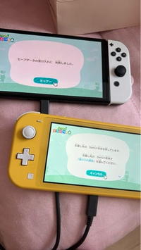 新しいSwitchにあつ森のセーブデータを移行させようと思い島ごと