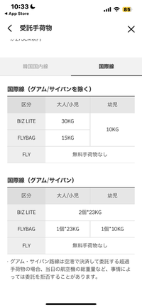 チェジュ航空の荷物について、画像の説明をして欲しいです！BIZ LITEやFRYBAGなど、教えて欲しいです！ 