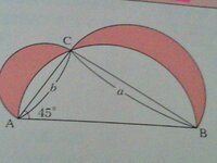 図の直角三角形において 半円の弧によって囲まれた赤色部分の面積の求め方を求めよ Yahoo 知恵袋