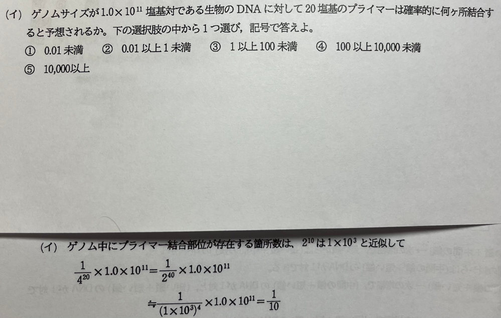 4の20乗はどうしてですか？ - Yahoo!知恵袋