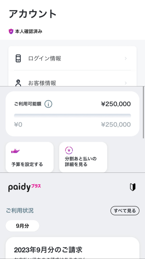 Apple - 【専用となります】※購入不可 ペイディにてApple専用枠が通り、購入しようとしましたが