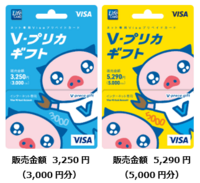 ディズニーDPAについて質問です。

クレジットカードを持っていません。 コンビニに売っているvisaプリペイドカード(画像)を事前に登録して置けば、DPAを購入することは可能ですか？(クレジットカードの扱いとして使えますか？)