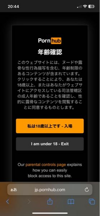 ぽるのはぶ見ようとしたらこんな画面出てきました。18歳以上ってとこ押したらどうなりますか？17歳です。 