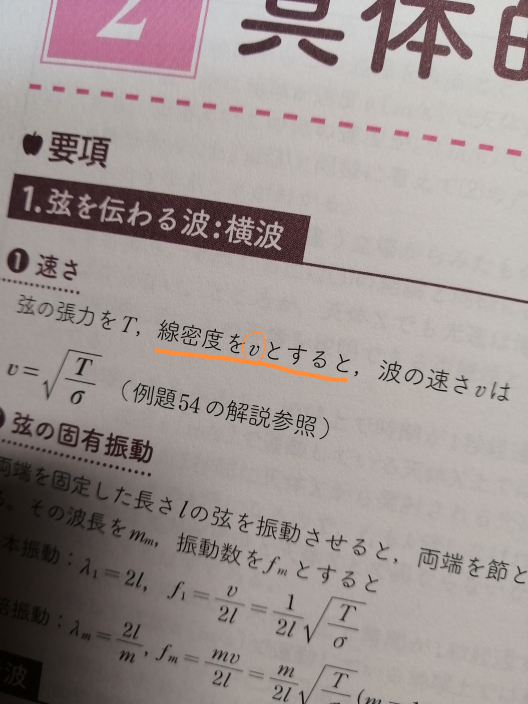 難問題の系統とその解き方』という参考書の一部なのですが、これは誤植