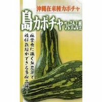 島かぼちゃについて

沖縄かぼちゃ、または島かぼちゃと呼ばれるものを父親が作っていて(長野県在住です)、たくさんもらいました。 去年？初めて貰い、かぼちゃサラダ等にしてみましたが甘さが全くなくて不味くて、どうやって食べるのかわからないまま腐らせ(おとうごめん…)2年目の今年は、以前よりもっとたくさん貰いました。

以前は追熟が足りなかったのかも？と思ったので、もらって1月以上経ってから調理し...