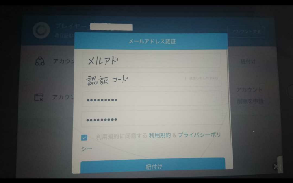 崩壊スターレイルについてです 以前iPadからAndroidのスマホへデータの引き継ぎをしました そのあとは無事にスマホでスターレイルができるようになったのですが、久しぶりに開くとメルアドやパスワードを初めから打たなければならないようになっていました。紐付けはしてあるはずなのですが、紐付けしたメルアドやパスワードでもログイン出来ません 写真のどの情報をどこに打てば良いのでしょうか 教えてくださいお願いします （メルアドなどの部分は念の為伏せています）