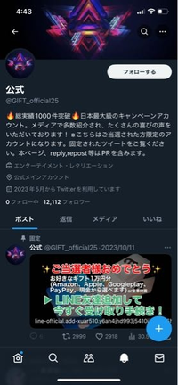 Twitter（X）でRTされてプロフ見に行ったから当選したとかでお好き