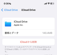 至急！！！！

これってiCloudから削除を押すとどうなりますか？？ 