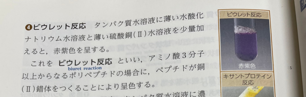 教科書のビウレット反応では、写真のように書いてあるのですが