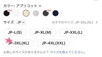 A56985  SHEINなど レディース衣料    サイズL～3XL A56985 SHEINなど レディース衣料 サイズL～3XL