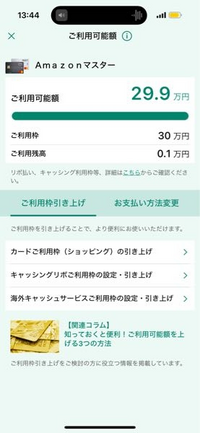 まだ1度も使っていないのですがご利用残高が0.1万円になっているのですがどういうことですか？
特に請求とか口座みても引かれてないです。 