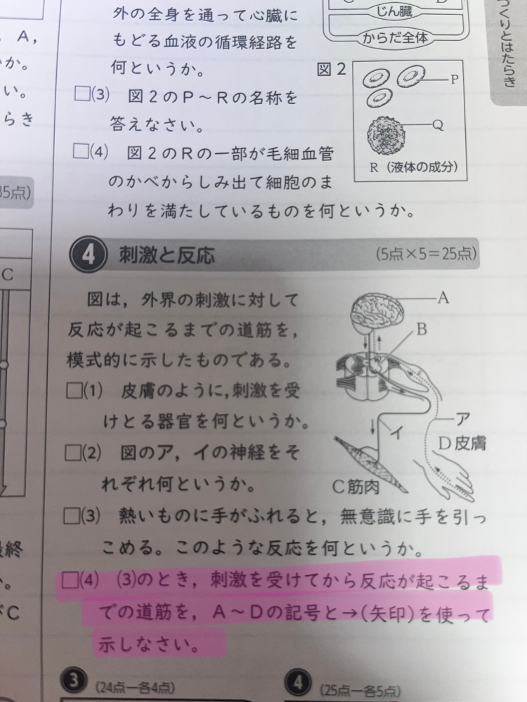 至急 この線の引いてある問題で、答えはD→B→C とありました。 なぜD→B→A→C でないのか教えてください