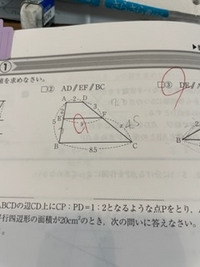 yの解き方教えて欲しいです 