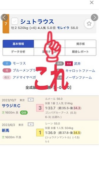 昨日、200円で競馬当てたんですが、オッズ？5.8なのに入金が1410円でした。
なんでなんですか？

100円×5.8=580円の2倍で1160円ですよね？ 