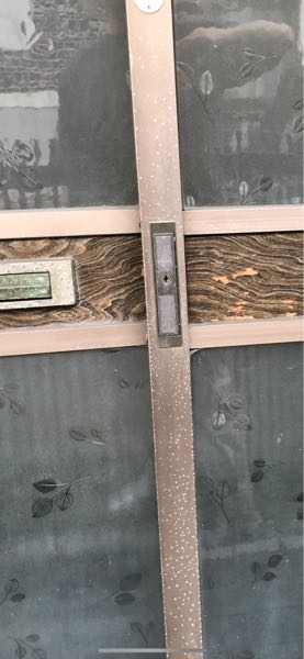 画像のように玄関引戸のアルミ部分にブツブツがあり、洗っても取れないのですが、綺麗にする方法は何かあるのでしょうか。
