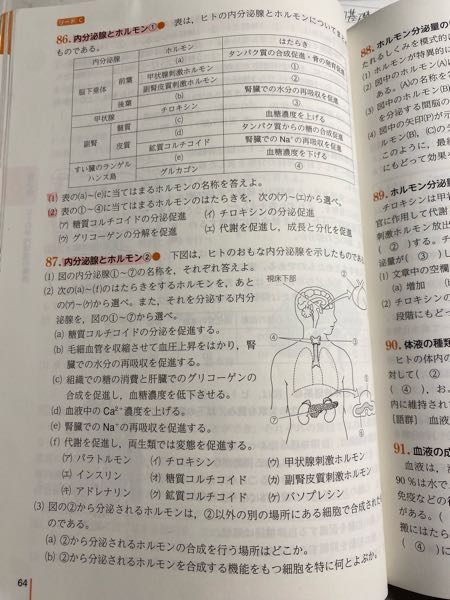 高一です。生物基礎についてなのですが、定期テストではやはりこういっ 