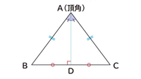 二等辺三角形ABCの頂角となる点（今回では点A）と底辺の中点（今回では点D）を結ぶ直線は頂角を二等分し底辺の垂直二等分線になることって示せますか？ 